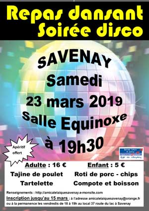 disco savenay