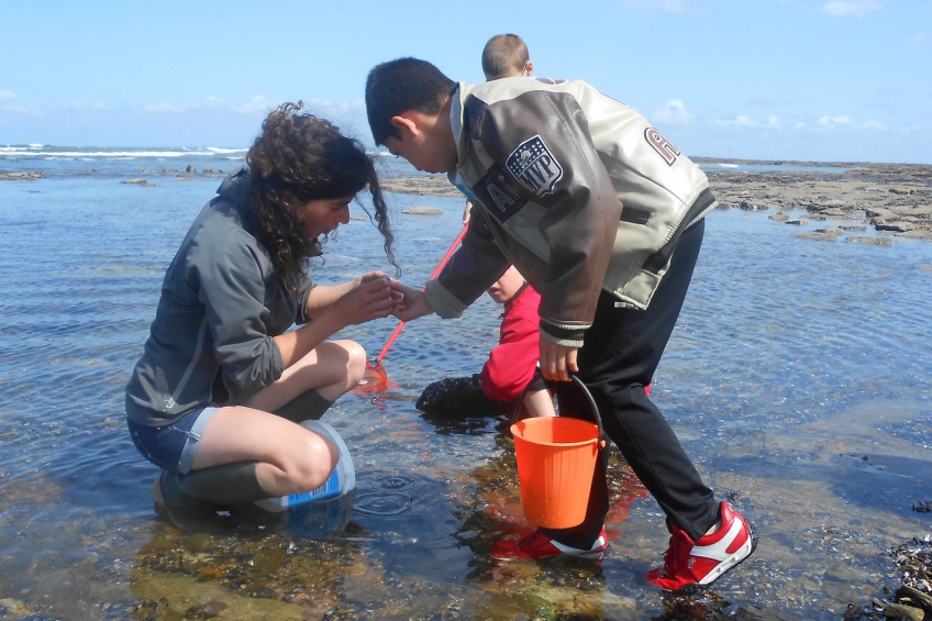 Une journée pêche à pied à préfailles